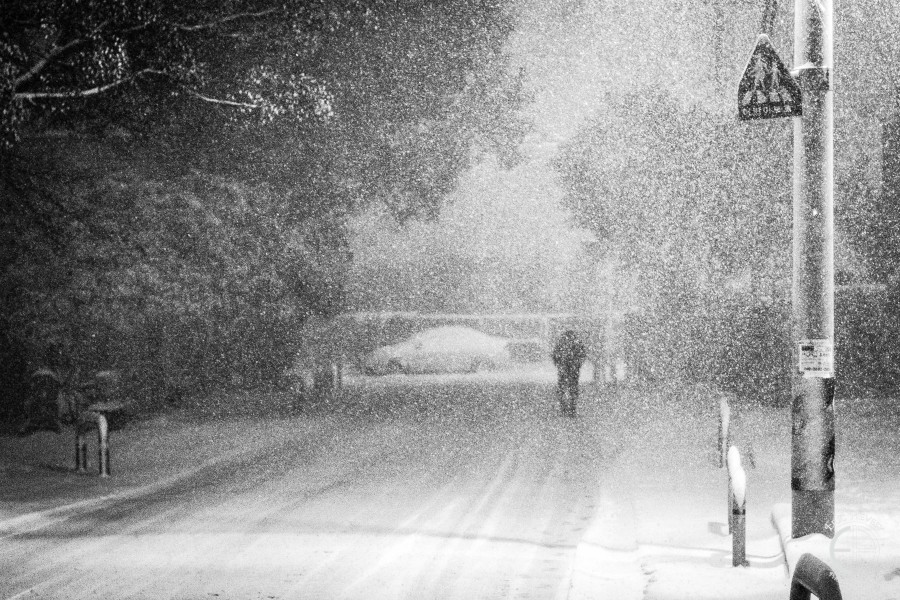 jeju winter snow