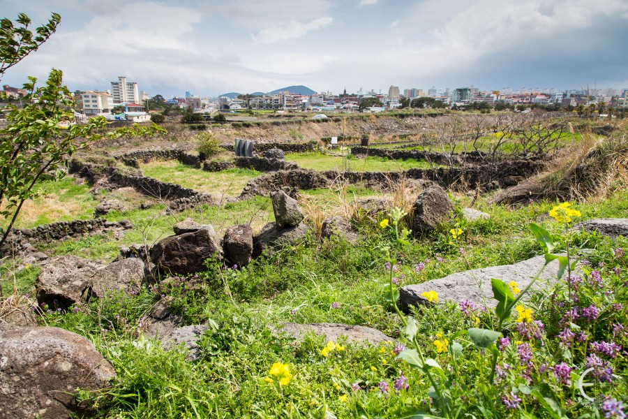 jeju island photos