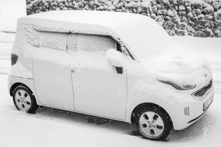 Snowy Jeju Winter