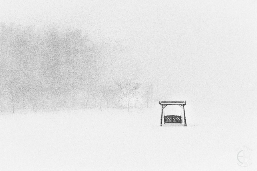 Snowy Jeju Winter