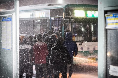 Snowy Jeju Winter