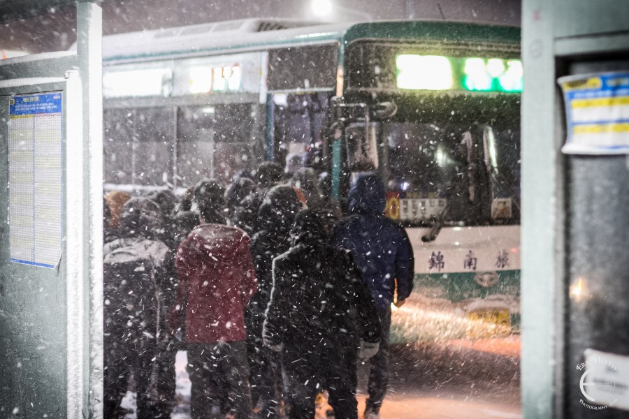 Snowy Jeju Winter