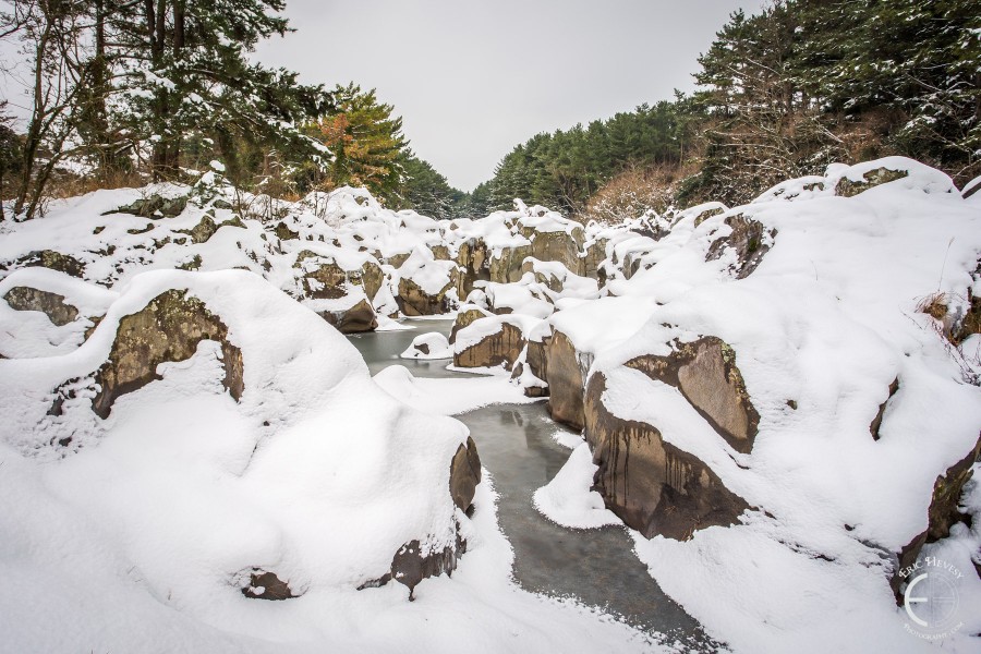 Snowy Jeju winter