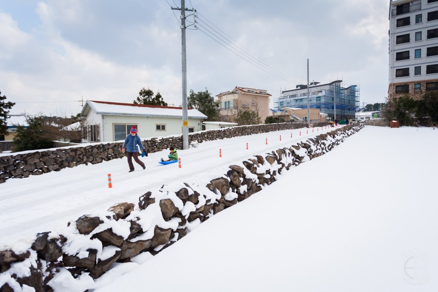 Snowy Jeju winter