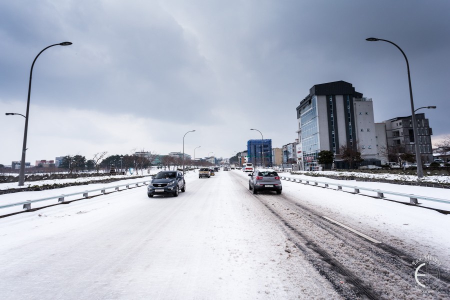 Snowy Jeju winter