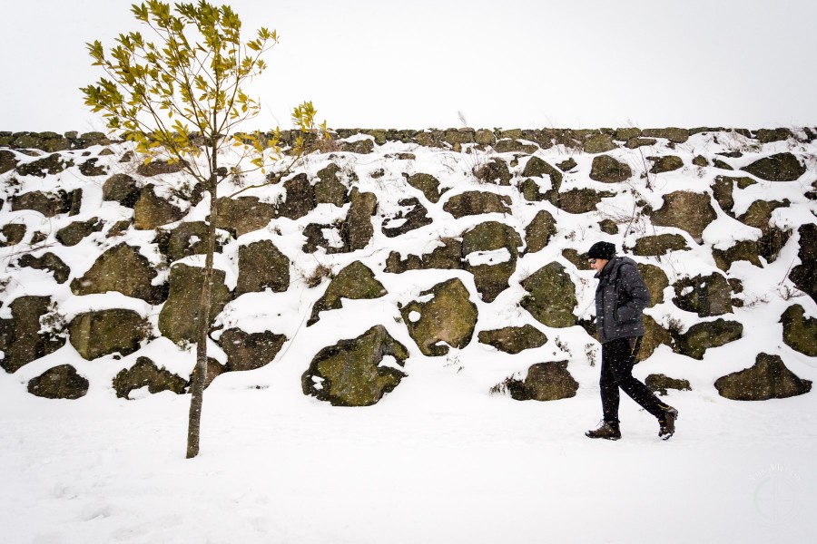 Snowy Jeju winter