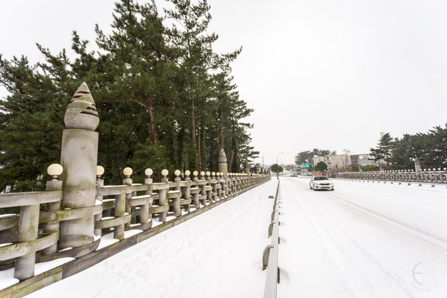 Snowy Jeju winter