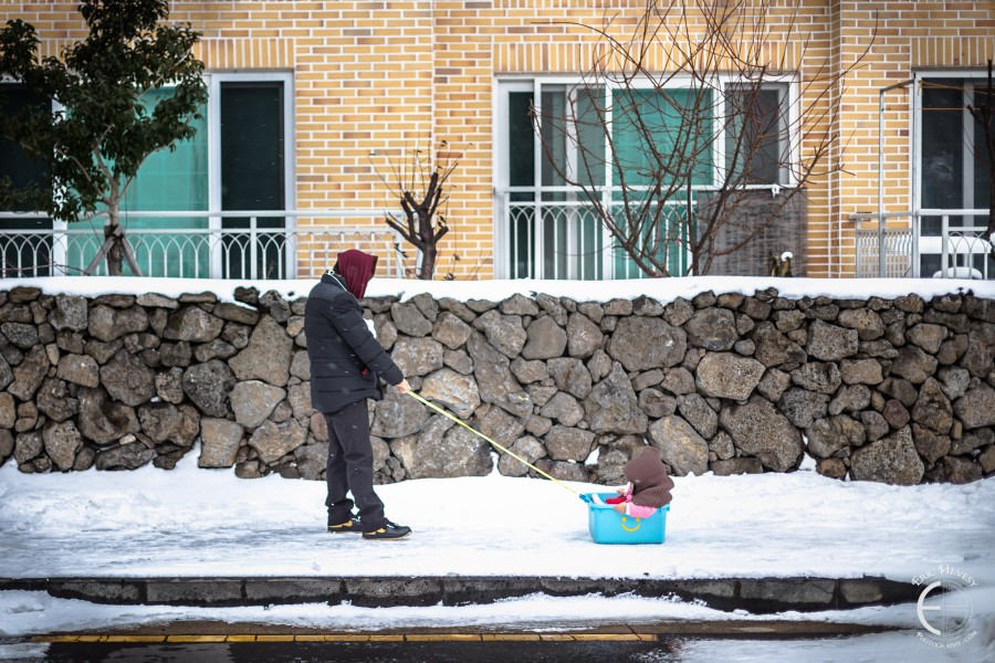 Snowy Jeju winter