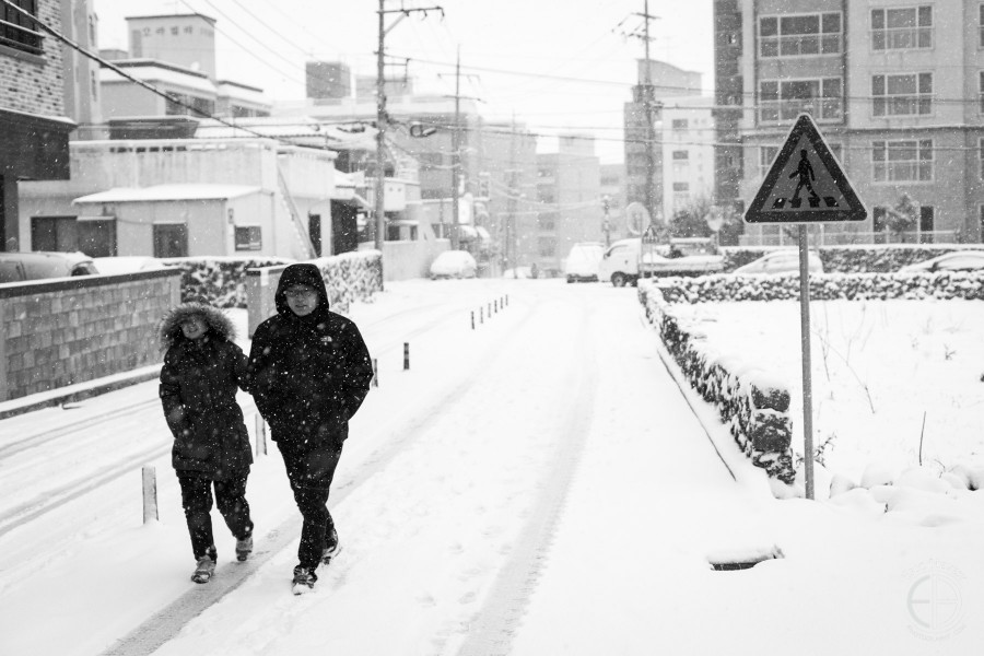 Jeju winter