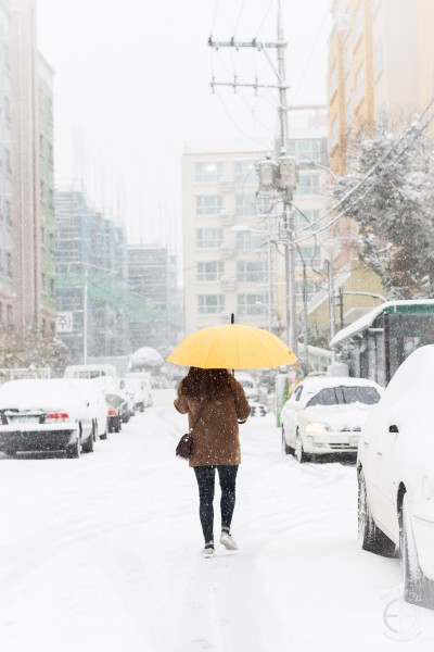 Jeju winter