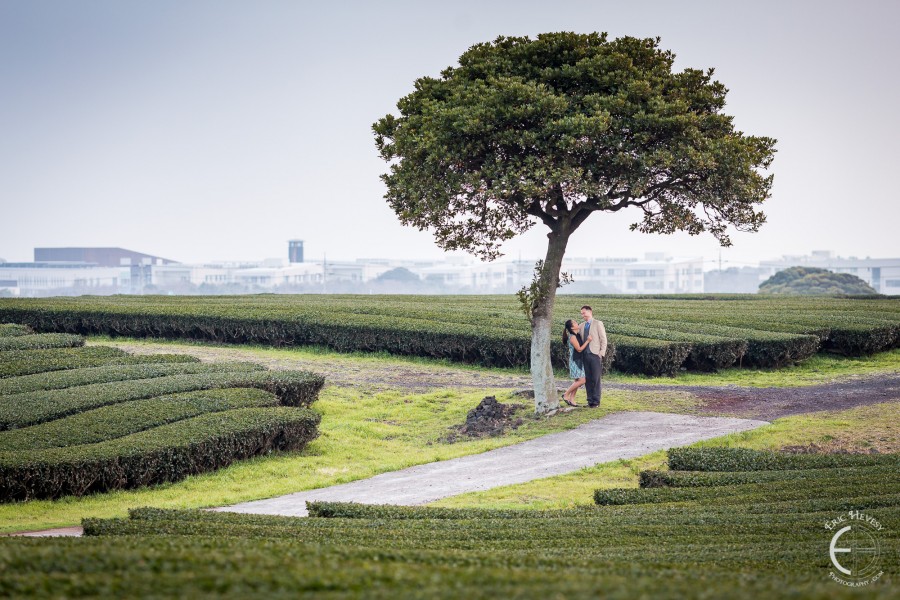 engagement-photos-osulloc-green-tea-jeju-island-south-korea
