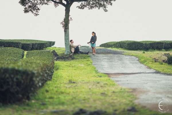 engagement-photos-jeju-island-south-korea-osulloc-museum