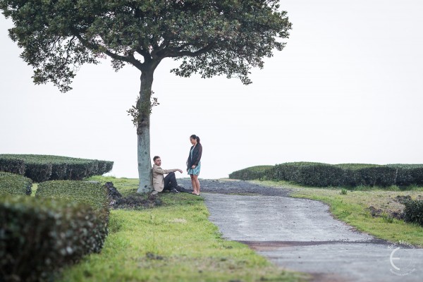 engagement-photos-jeju-island-south-korea-osulloc-museum