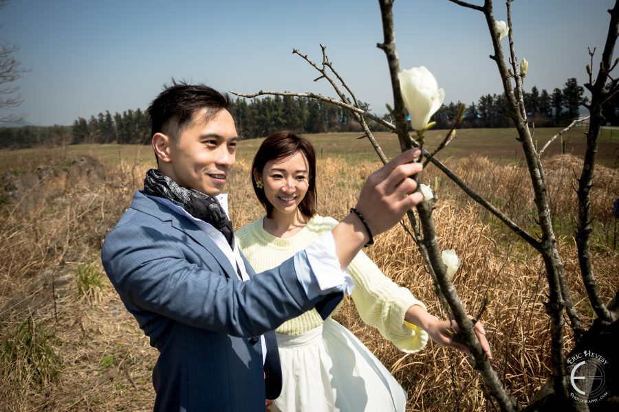 jeju engagement photography