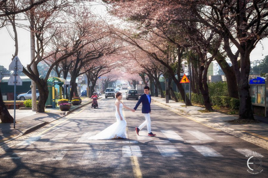 jeju island korea pre-wedding photography