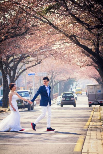 jeju island korea pre-wedding photography