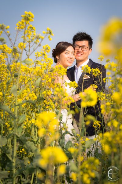 jeju island korea pre-wedding photography