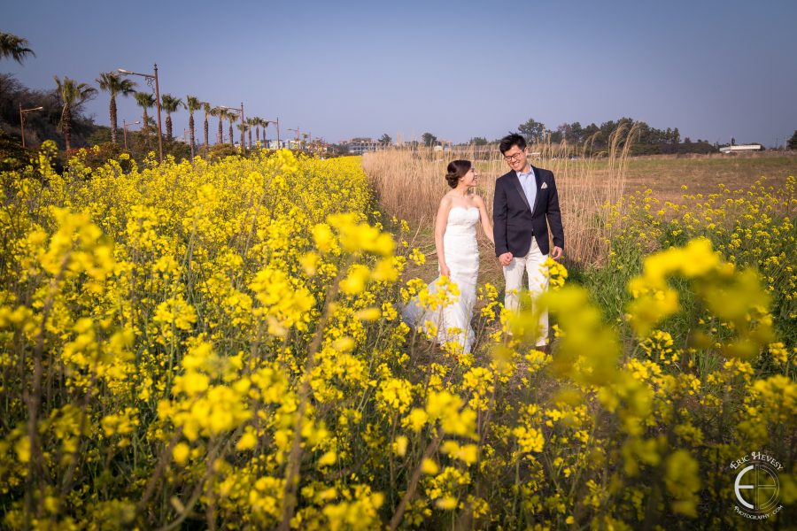 jeju island korea pre-wedding photography