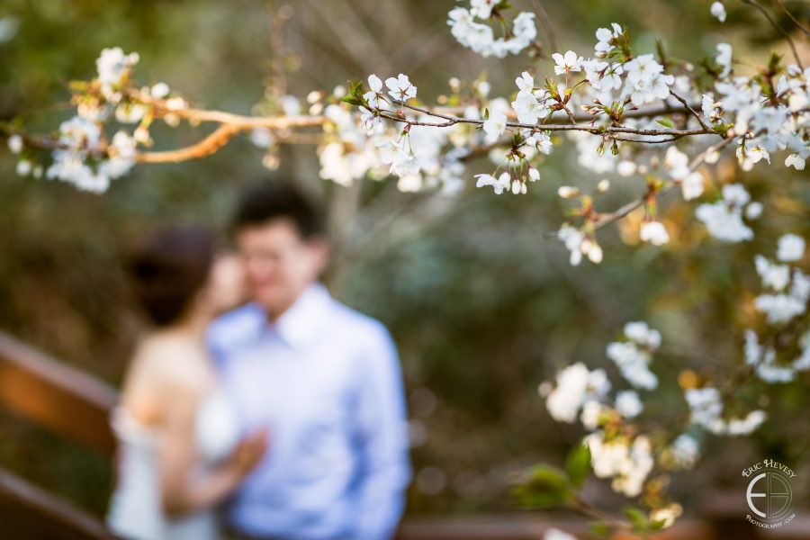 jeju island korea pre-wedding photography