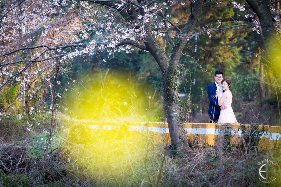 jeju island korea pre-wedding photography