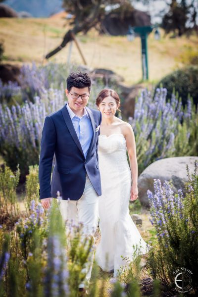 jeju pre-wedding photography