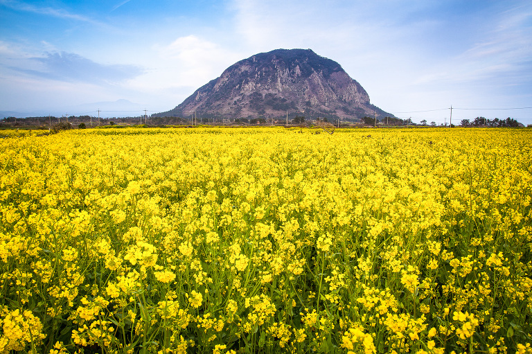 jeju_photos_landscape_photography