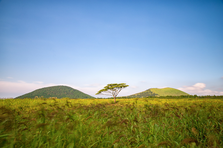 jeju_photos_landscape_photography